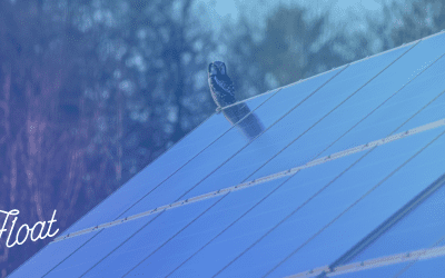 Sustainable lifestyle and a stronger financial future?